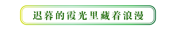 1595990916143726.png 裁 - 标题-02.png