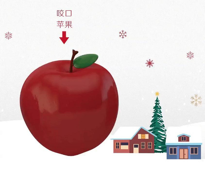 1608195235604940.jpg 03-1_1.JPG